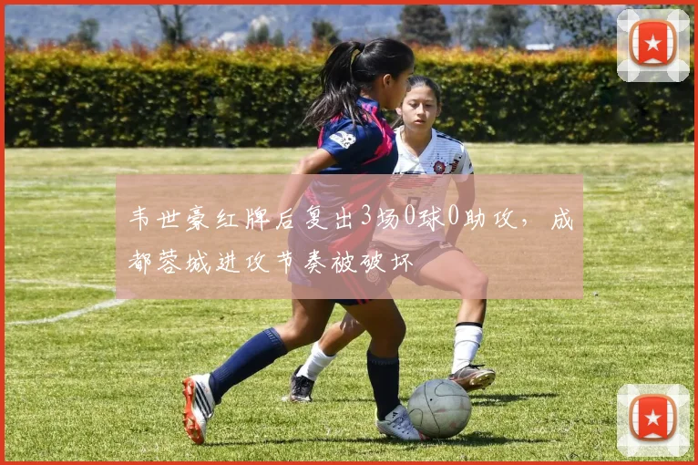 韦世豪红牌后复出3场0球0助攻,成都蓉城进攻节奏被破坏